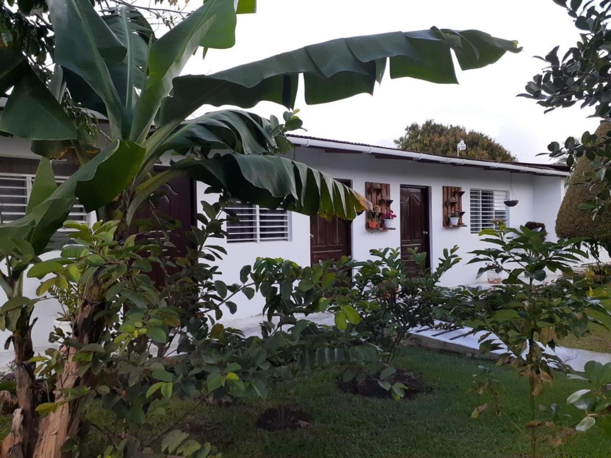 Habitacion Hogarena Jarabacoa Eksteriør billede
